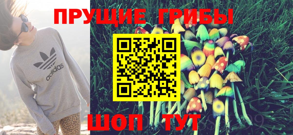 Галлюциногенные грибы MAGIC MUSHROOMS Среднеуральск